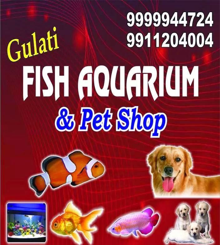 GULATI FISH AQUARIUM & PET SHOP ABOUT US