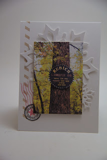 Homemade Cards by Erin: Christmas Card Holiday Cards