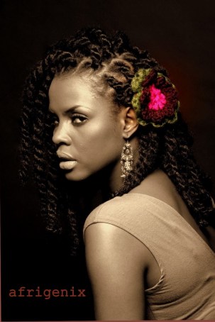 Afrodeshiak The Kinky Life Kinky Twists Update