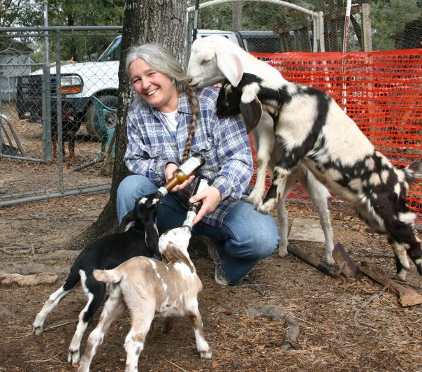 Homestead Life Goat Day!