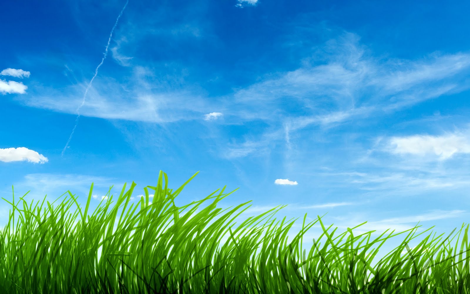http://4.bp.blogspot.com/-x_avElOoh48/UKOd_skZzdI/AAAAAAAABO0/ujLNT1e-xlg/s1600/hd-wallpapers-of-nature-0012.jpeg