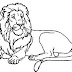 Desenho de Leão para Colorir 