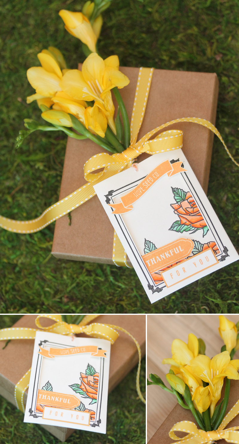 Stamp Away With Me Outside The Box Garden Fresh Gifts