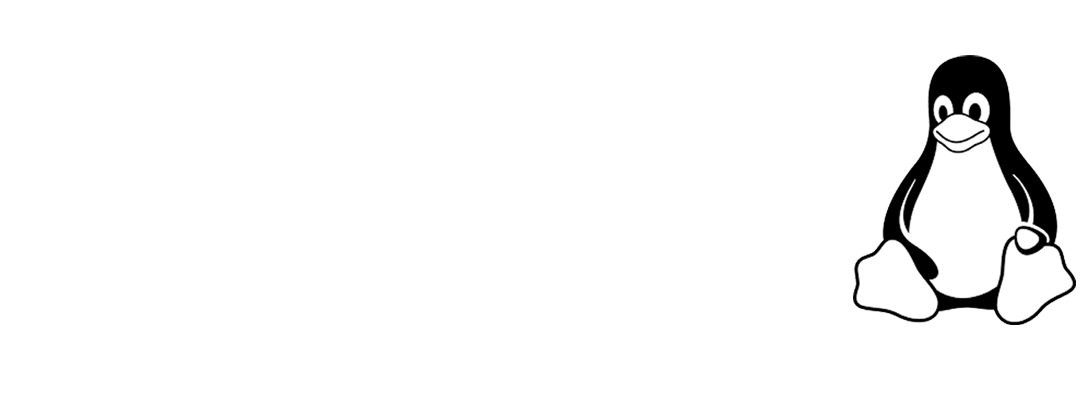 Zynux | Networking and Linux