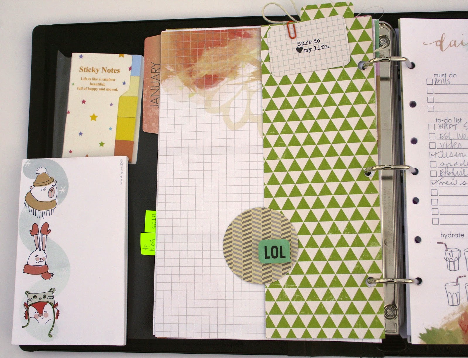 meanderings . . . cocoa daisy day planner