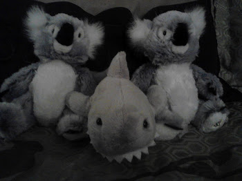 My stuffed koalas and shark