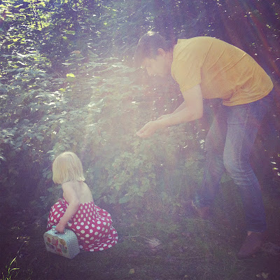 IMG 6336 Prickigt och stökigt.