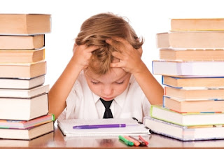 الدراسة الدراسة