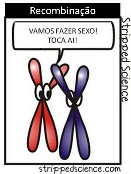 Comida no momento de remoção de parasitas de um organismo