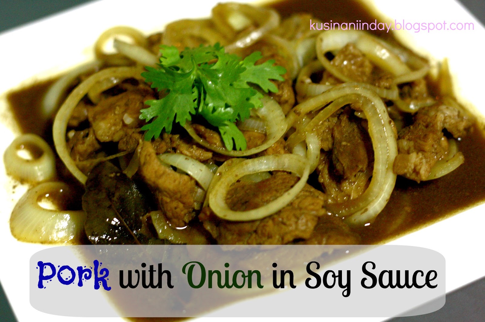 Pork with Onion in Soy Sauce Pursuit of Functional Home