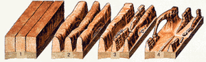 A diagram- the sequence of arch formation. A diagram-the sequence of arch formation.