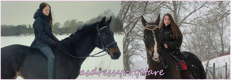Sofie & Anna hästblogg