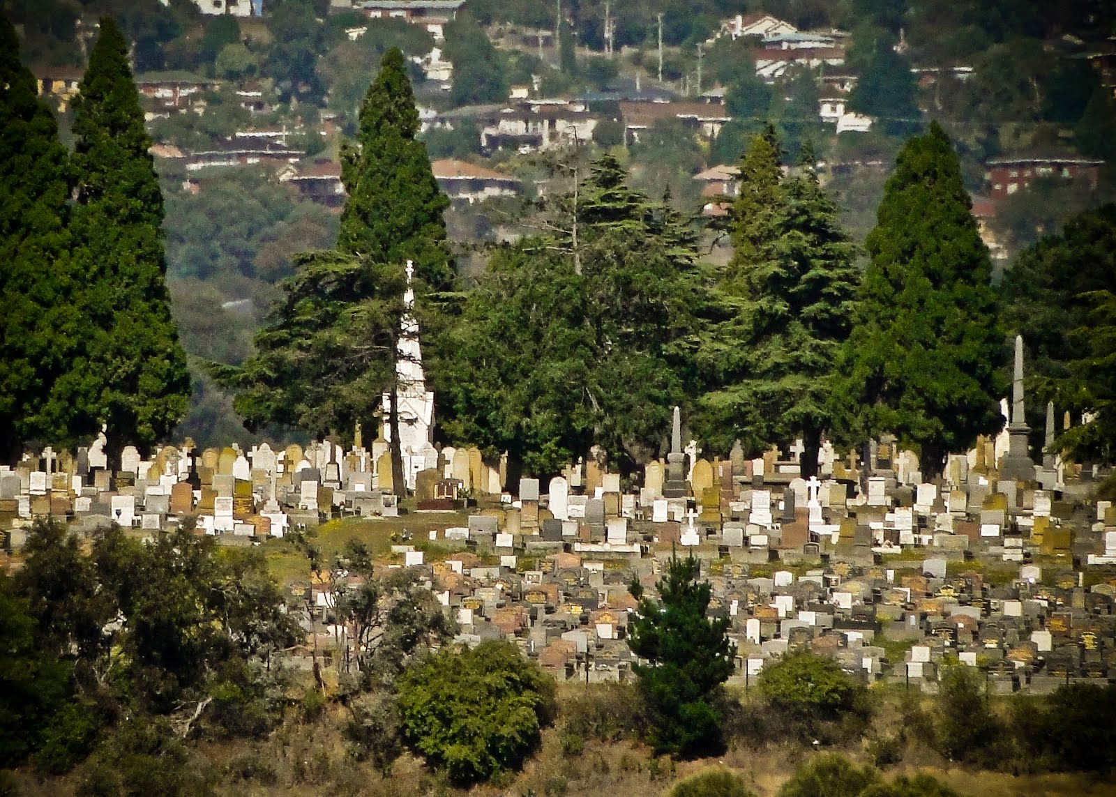 Cornelian Bay Cemetery