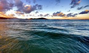 Datos Curiosos de los Oceanos Datos Curiosos de los Oceanos