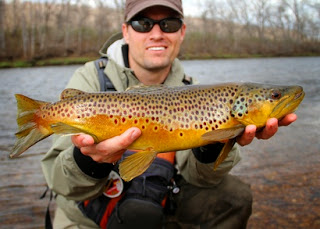 Really nice Idaho brown? Idaho fly fishing blog photo