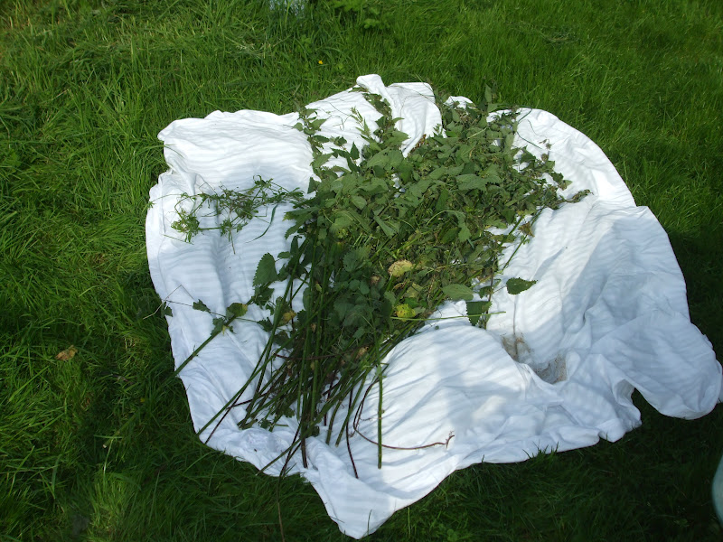The Compost Bin Making fertiliser