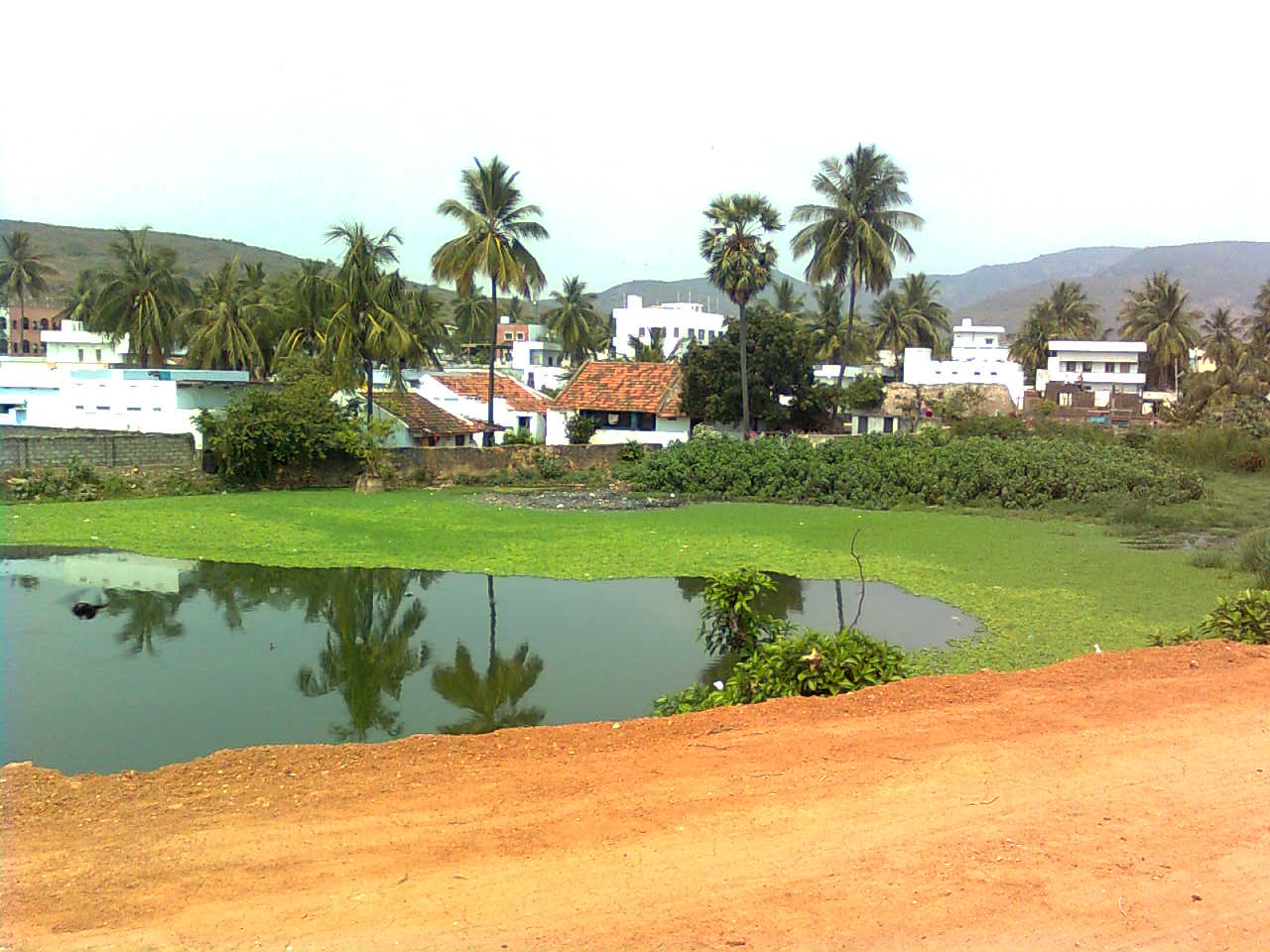 Tuni Town
