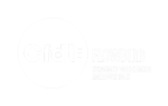 CFDT FLOWBIRD