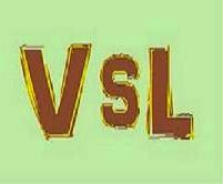 Logo AD VSL. Fondo verde y letras en marrón.