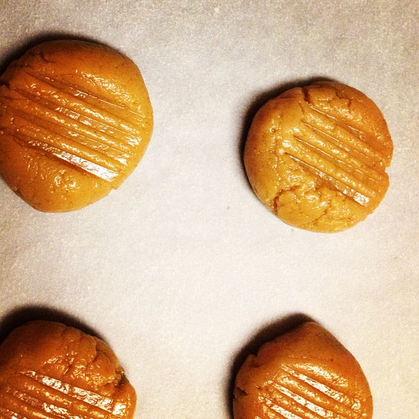 peanut butter and honey cookies Adventures of Cecelia Bedelia