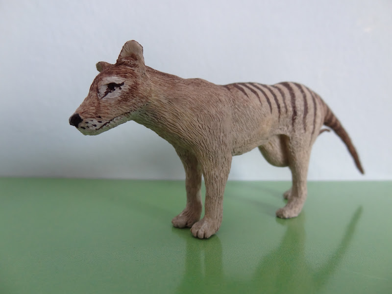 The wonderful Thylacine female by Joan 012
