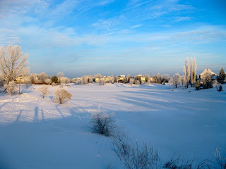   Snowy Manitoba Photo by Bogdan Fiedur