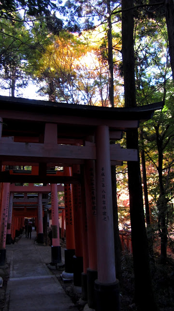 Fushimi Inari Fushimi Inari