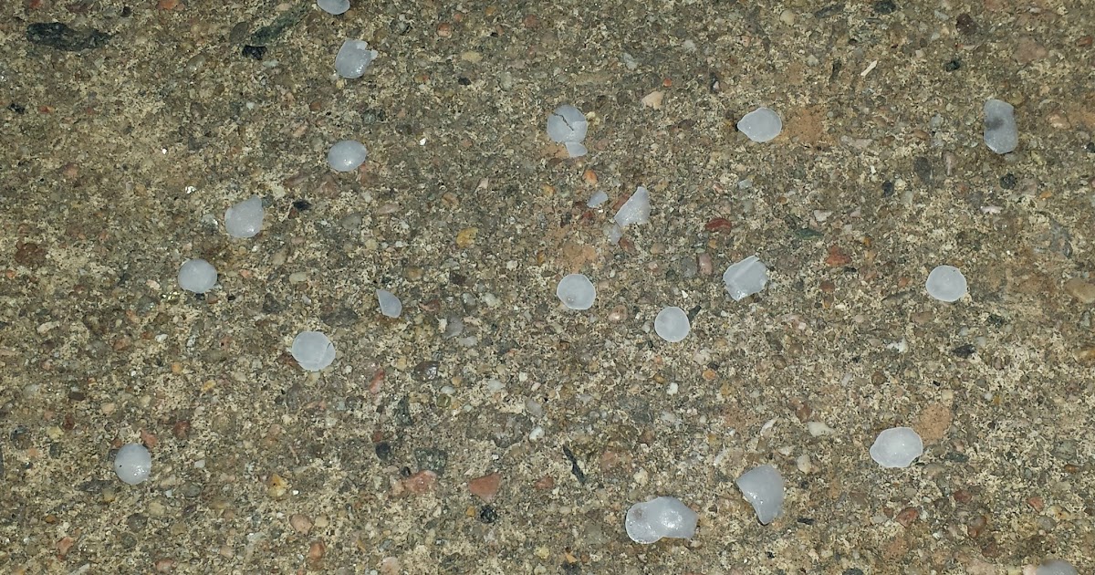 COHorts Is there a safe deicing product for sidewalks and plants?