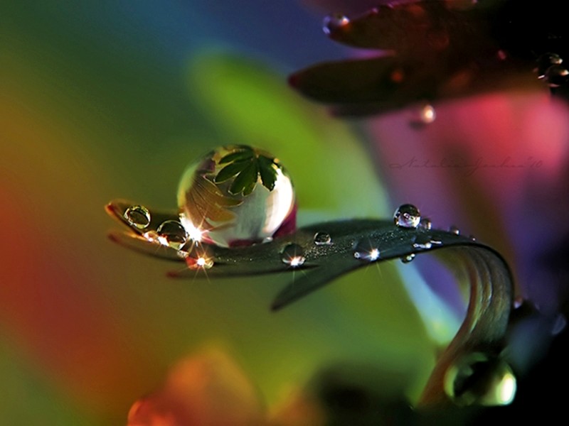 wallpapers of raindrops. Colourful Raindrops Wallpapers
