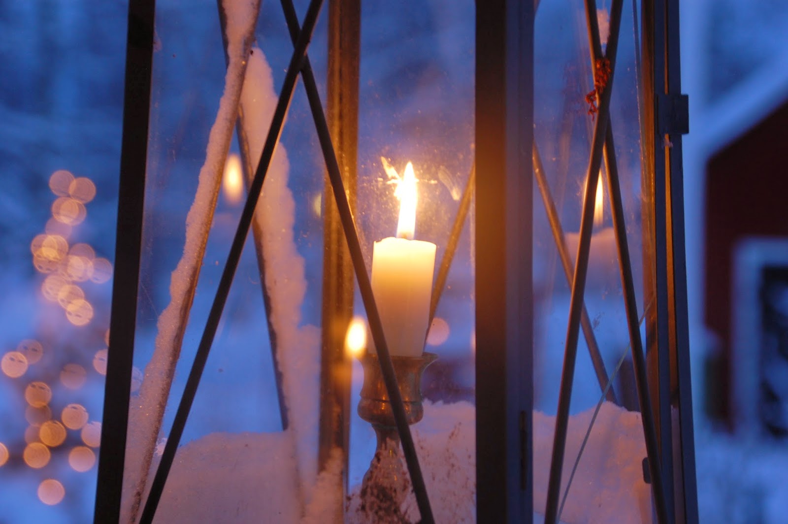 Svanå trädgård: december 2014