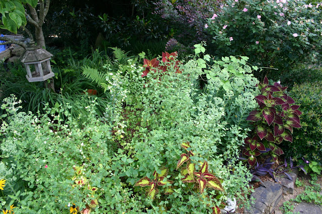 Home Jeremy Bartlett S Let It Grow Blog