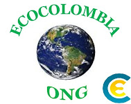 ECOCOLOMBIA ALIADO ESTRATEGICO