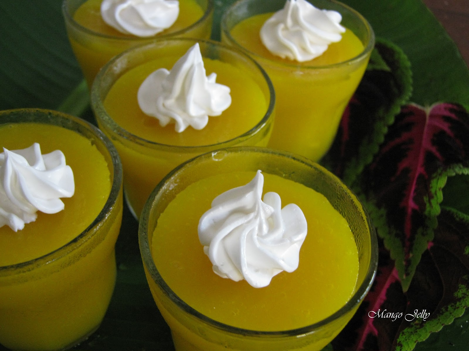 KARI LEAFS Malaysian flavour's MANGO JELLY DESSERT