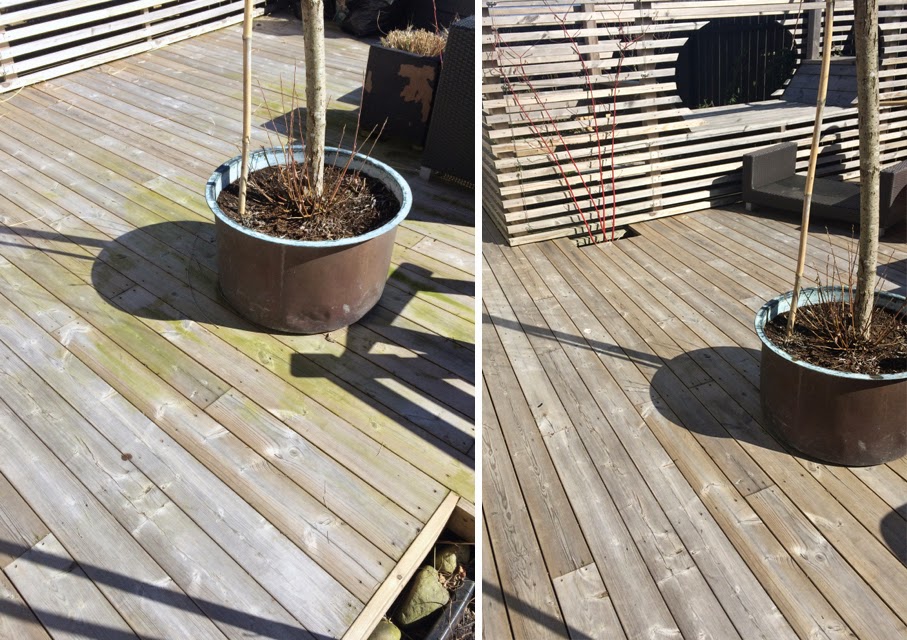 Cattis och eiras trädgårdsdesign: så här får du bort gröna alger ...