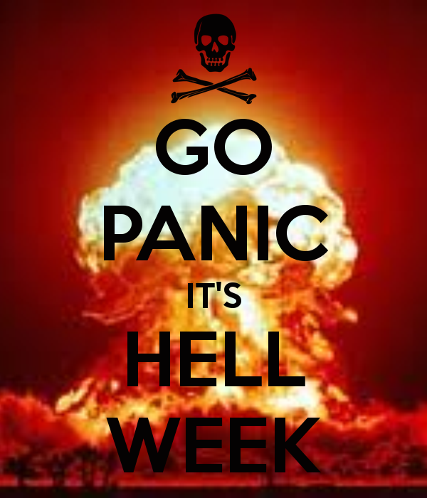 Albums 95+ Pictures What Does Navy Seal Hell Week Consist Of Superb