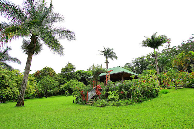 Maui Island