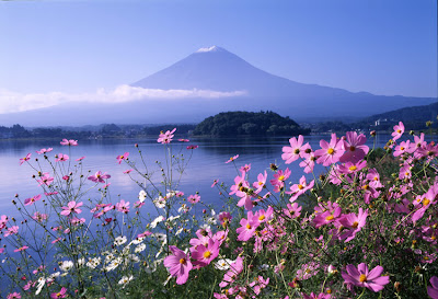 Cảnh Đẹp 4 Mùa ở Núi Phú Sĩ Nui+phu+si+mua+he