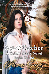 Spirit Catcher, Yellow Creek Novel Book 3