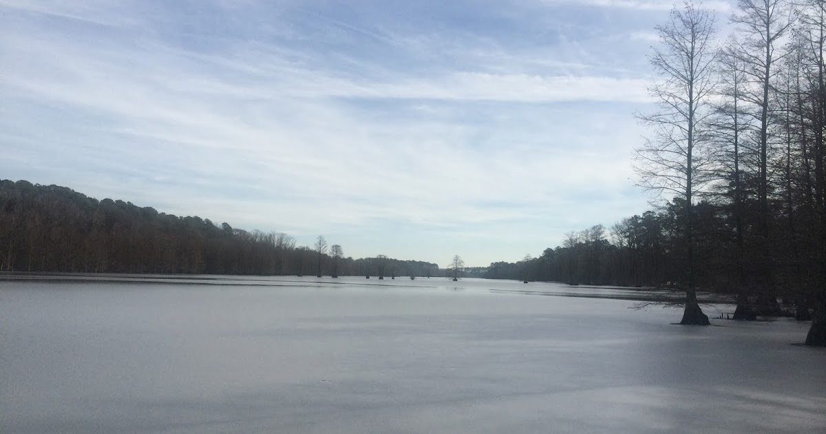 Kayak Fishing Virginia Beach Stumpy Lake FROZEN!