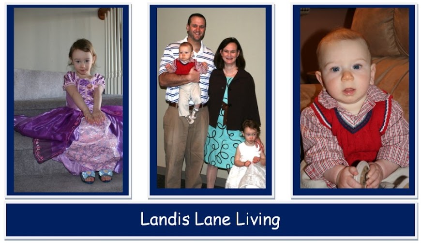 Landis Lane Living