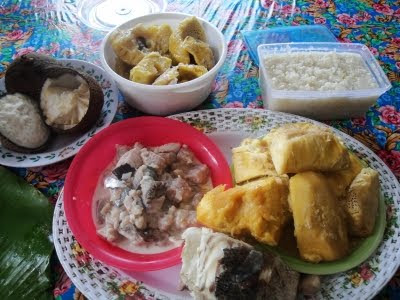 吐瓦魯傳統食材：椰子、魚與麵包果，都是在地生產的低碳飲食。(吳郁娟攝)