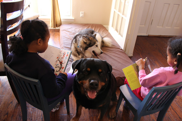 Siblings reading to their dogs Siblings reading to their dogs
