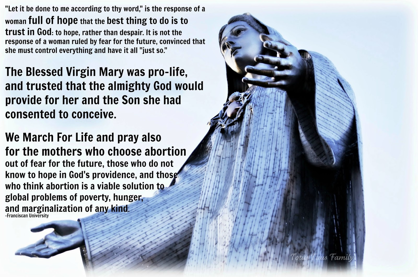 March For Life 2014 Praying for Those Who Do Not Know to