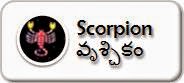 scorpion scorpion