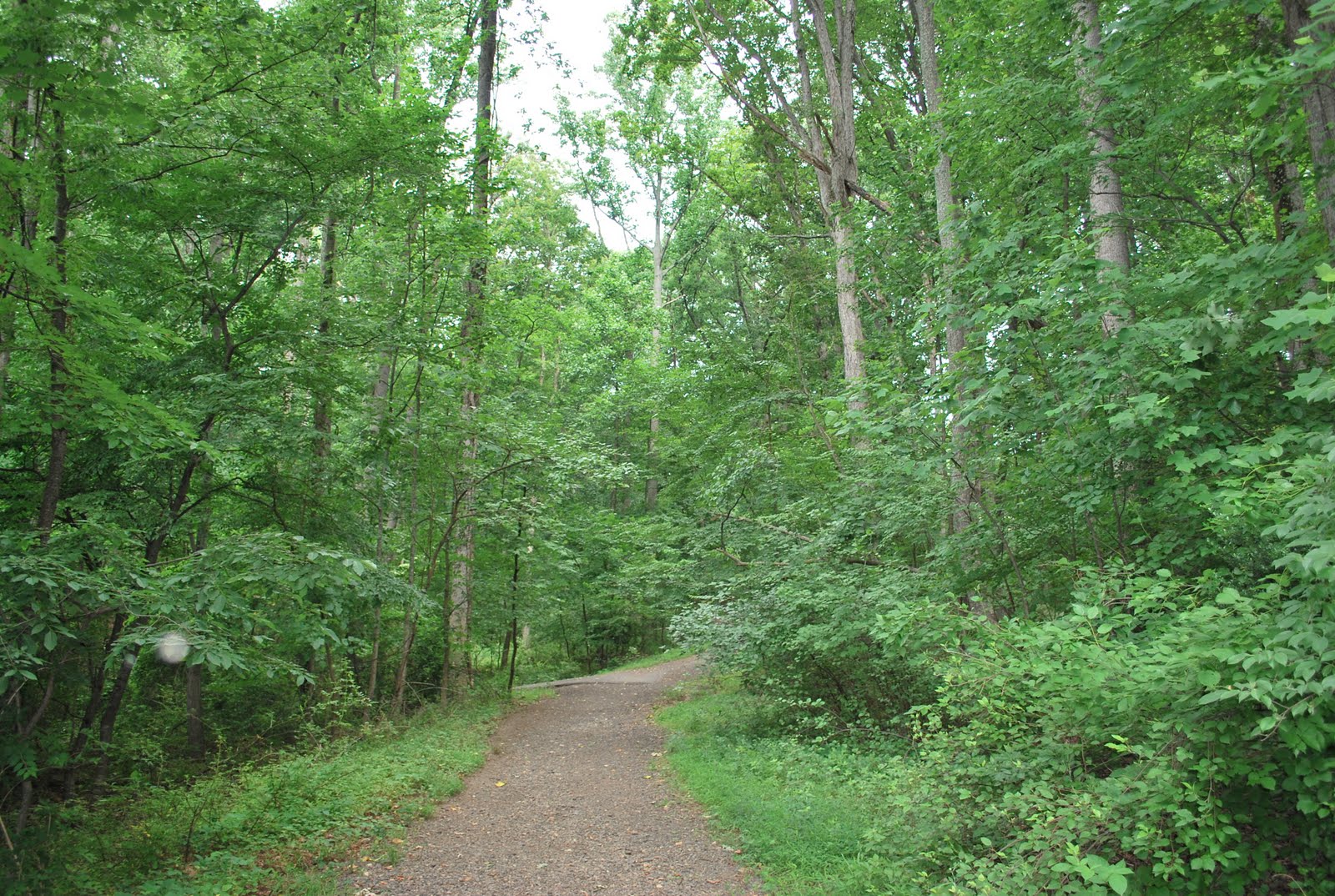 The Next Best Thing..... Northside Park in Vienna, VA!