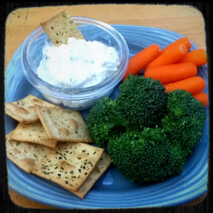 Living the sweet life, mind the thorns.. Fat Free Veggie / Cracker dip