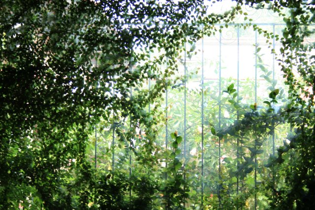 secret garden photo by julienne mumar