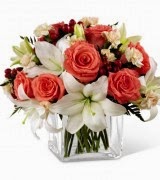 Flowers canada Blashuing Beauty flowers