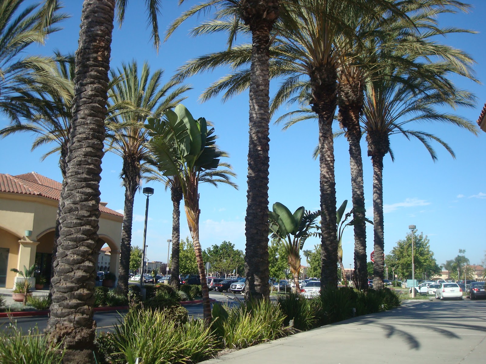 easy spirit outlets