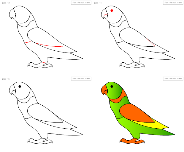 How to draw Parrot - slide 2